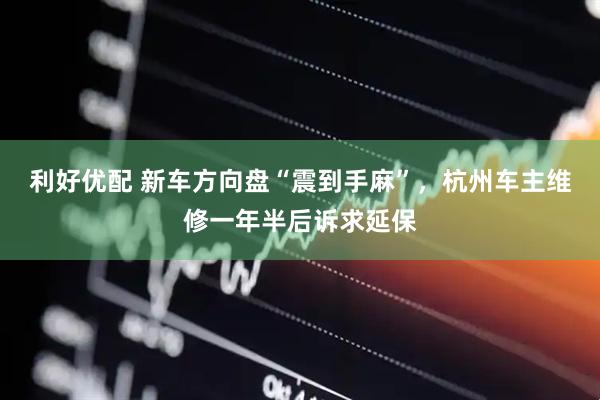 利好优配 新车方向盘“震到手麻”，杭州车主维修一年半后诉求延保