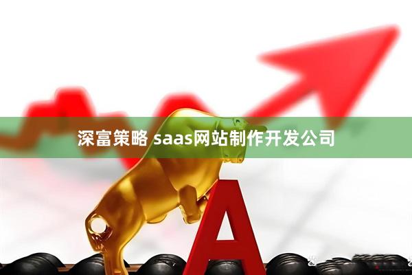 深富策略 saas网站制作开发公司