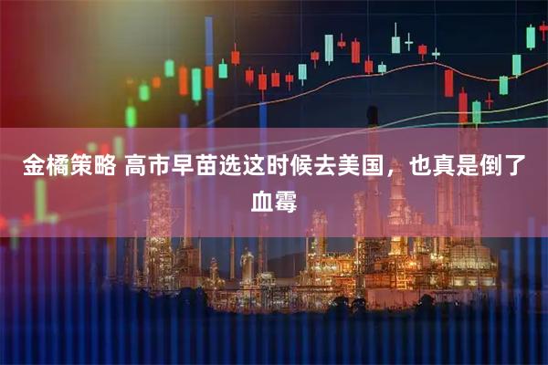 金橘策略 高市早苗选这时候去美国，也真是倒了血霉