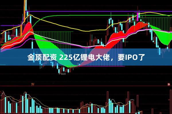 金顶配资 225亿锂电大佬，要IPO了