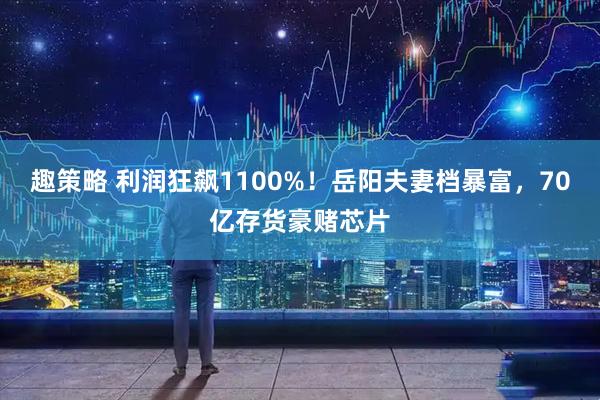趣策略 利润狂飙1100%！岳阳夫妻档暴富，70亿存货豪赌芯片
