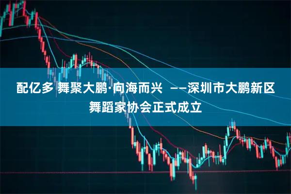 配亿多 舞聚大鹏·向海而兴  ——深圳市大鹏新区舞蹈家协会正式成立