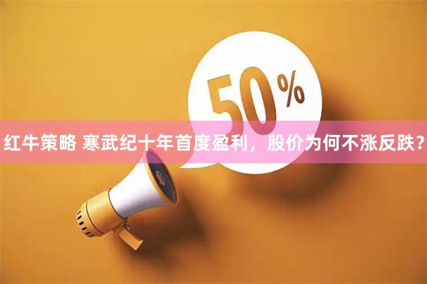 红牛策略 寒武纪十年首度盈利，股价为何不涨反跌？
