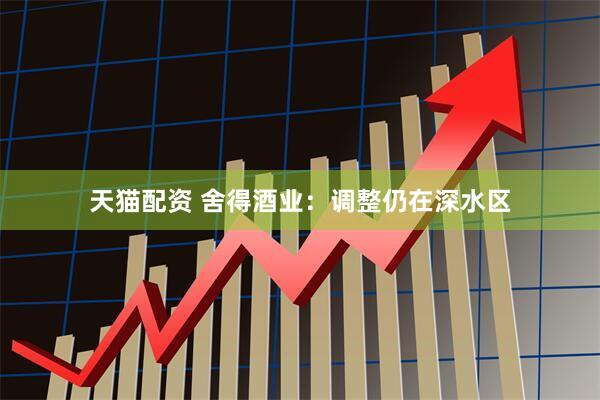天猫配资 舍得酒业：调整仍在深水区