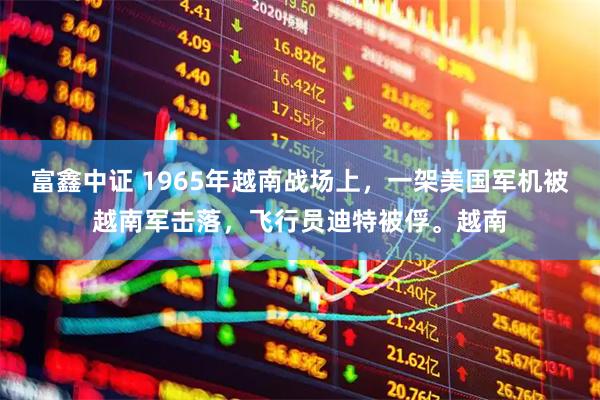 富鑫中证 1965年越南战场上，一架美国军机被越南军击落，飞行员迪特被俘。越南