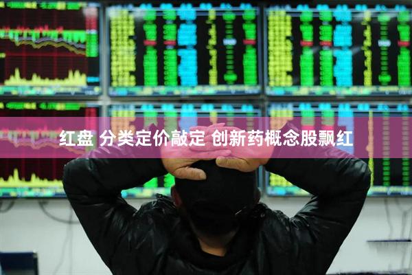 红盘 分类定价敲定 创新药概念股飘红