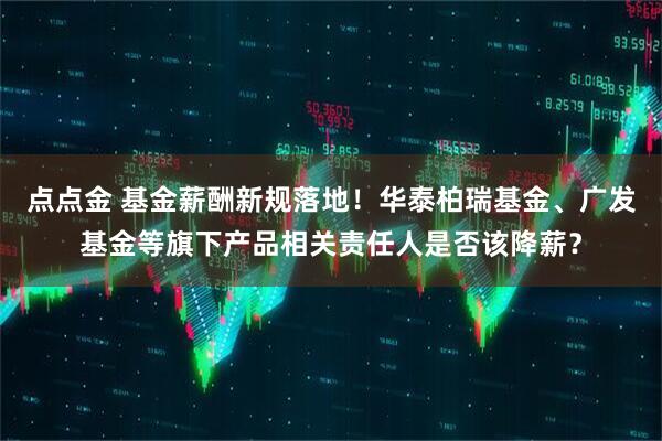 点点金 基金薪酬新规落地!华泰柏瑞基金、广发基金等旗下产品相关责任人是否该降薪?