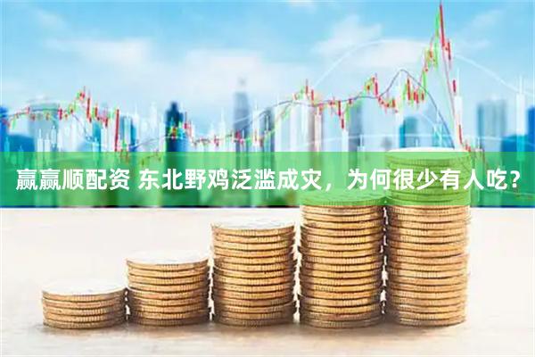 赢赢顺配资 东北野鸡泛滥成灾，为何很少有人吃？