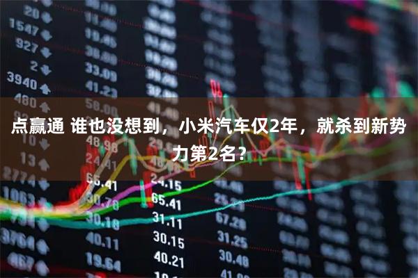 点赢通 谁也没想到，小米汽车仅2年，就杀到新势力第2名？