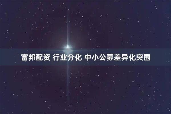富邦配资 行业分化 中小公募差异化突围