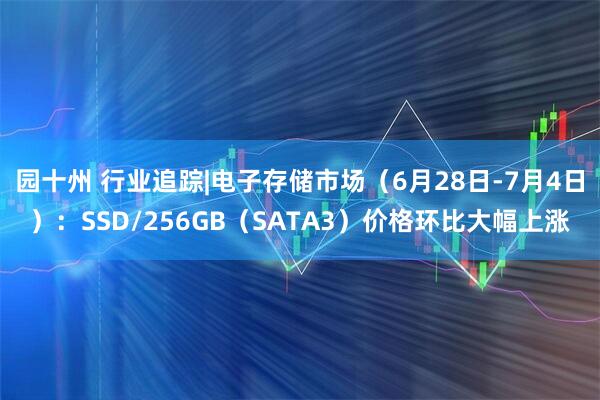 园十州 行业追踪|电子存储市场（6月28日-7月4日）：SSD/256GB（SATA3）价格环比大幅上涨