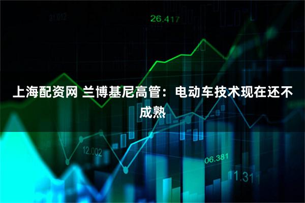 上海配资网 兰博基尼高管：电动车技术现在还不成熟